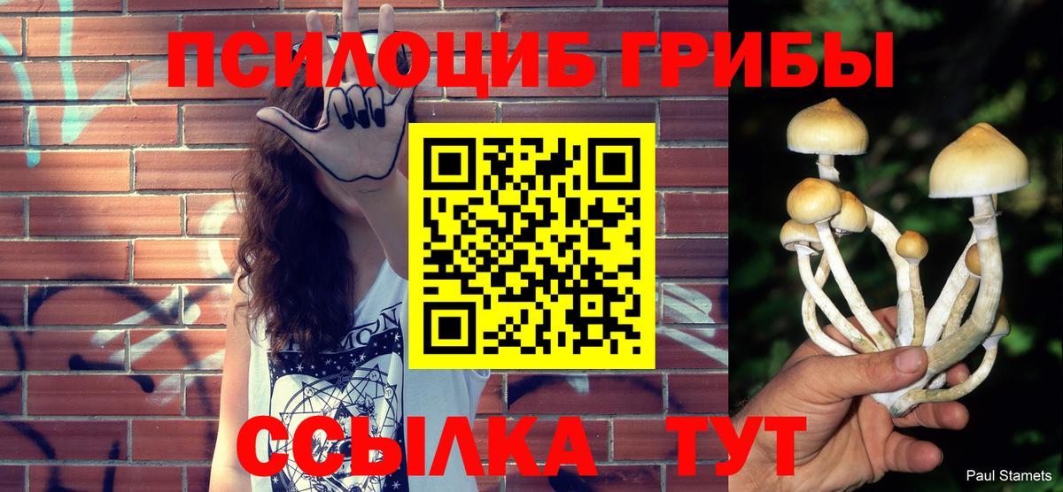 Черемхово  Псилоцибиновые грибы Cubensis  Вход с VPN 