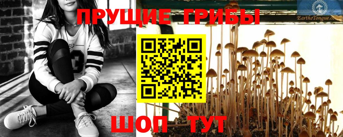 Галлюциногенные грибы GOLDEN TEACHER Черемхово